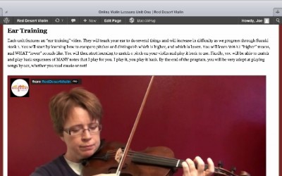 Online Violin Lessons Coming to iPad and Other Tablets