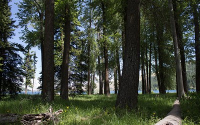 What Can I Expect from Wallowa Fiddle Tunes Camp?