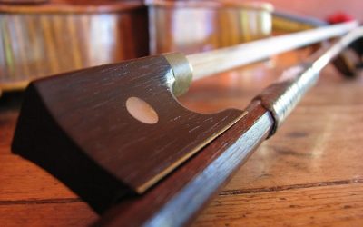 Are You Ready for a Professional Bow? (Things You Should Know Before Upgrading)